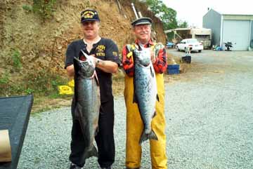 salmon1.jpg